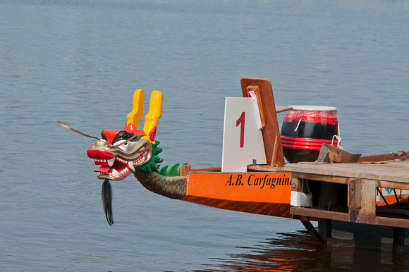 Lake Superior Dragon Boat Festival 13-8-_8502