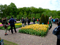 Keukenhof Gardens Netherlands 19-5-_2069