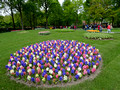 Keukenhof Gardens Netherlands 19-5-_2067