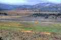 Lamar Valley Yellowstone National Park 14-9-_2039