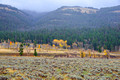 Lamar Valley Yellowstone National Park 14-9-_2061