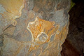 Jewel Cave National Monument 14-5-_4199