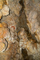 Jewel Cave National Monument 14-5-_4174