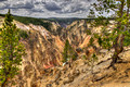 Grand Canyon of the Yellowstone Yellowstone National Park 15-6-_0776