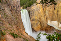 Lower Falls Grand Canyon of the Yellowstone Yellowstone National Park 15-6-_0848