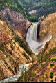 Lower Falls Grand Canyon of the Yellowstone Yellowstone National Park 15-6-_0785