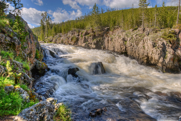 Firehole River Yellowstone National Park 15-6-_2527