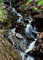 Falls River tributary 09-18- 206-1