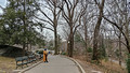 Central Park New York City 19-2L-_0153
