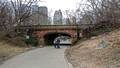 Central Park New York City 19-2L-_0180
