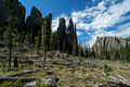 Cathedral Spires Trail Custer State Park 19-6-02867