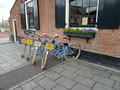 Bikes  Molen de Roos Delft Netherlands 19-5-_1551