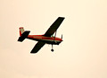 Trumpeter Swan Cygnet Round Up Spotter Plane 12-8-_1614