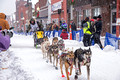 CopperDog 150 Sled Dog Race 15-3-_0659