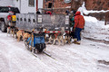 CopperDog 150 Sled Dog Race 15-3-_0674