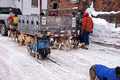 CopperDog 150 Sled Dog Race 15-3-_0674