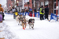 CopperDog 150 Sled Dog Race 15-3-_0657