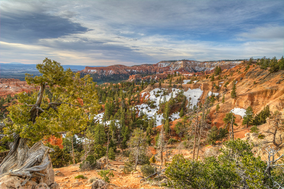Bryce Canyon National Park Utah 17-4-03909