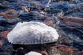 Ice and Rocks Brighton Beach Duluth Minnesota 17-3-0444