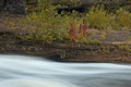 Big Spring Falls - Banning State Park 08-169- 016