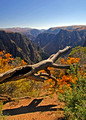 Black Canyon of the Gunnison 309
