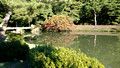Rikugien Gardens Tokyo Japan 19-11L-_4773
