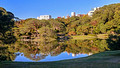 Rikugien Gardens Tokyo Japan 19-11L-_4792