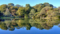 Rikugien Gardens Tokyo Japan 19-11L-_4793