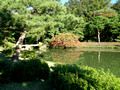 Rikugien Gardens Tokyo Japan 19-11P-_1326