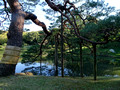Rikugien Gardens Tokyo Japan 19-11P-_1330