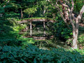 Rikugien Gardens Tokyo Japan 19-11P-_1334