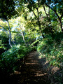 Rikugien Gardens Tokyo Japan 19-11P-_1336