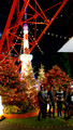 Tokyo Tower Minato City Tokyo Japan 19-11L-_4173