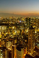 View from Tokyo Tower Minato City Tokyo Japan 19-11L-_4169