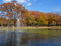 Yoyogi Park Tokyo Japan