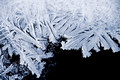 Ice Patterns Tripp Falls Ravine20-2-01257