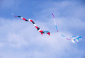 Color the Wind Kite Festival 20-2-02660