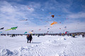 Color the Wind Kite Festival 20-2-02661