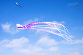 Color the Wind Kite Festival 0-2-02830