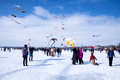 Color the Wind Kite Festival 20-2-02669