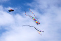 Color the Wind Kite Festival 20-2-02677
