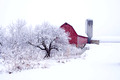 The Farm in the Winter