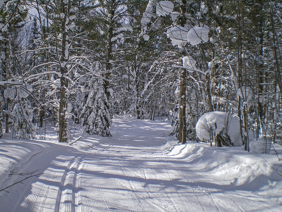 Swedetown Ski Trails 14-3-_0019