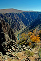 Black Canyon of the Gunnison 314