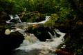 Overlooked Falls - Little Carp River 11-6-_3506