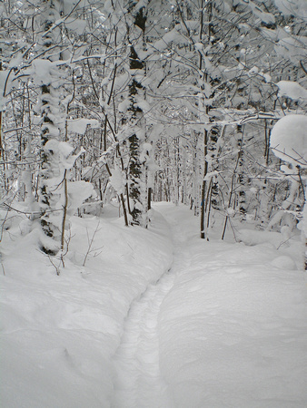 Swedetown Ski Trails 10-1-_0861