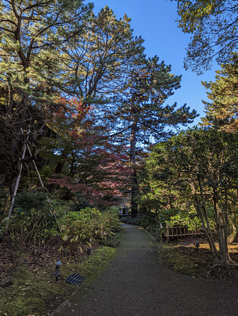 Institute for Nature Study Minato City Tokyo  22-12L-_4280