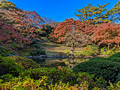 Institute for Nature Study Minato City Tokyo  22-12L-_4300