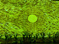 Immersive Van Gogh Exhibition, Kadokawa Cultural Museum, Tokorozawa, Japan 22-12L-_3564