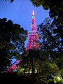 Tokyo Tower , Tokyo, Japan 25-5P-_0724